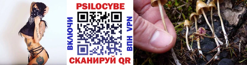 OMG зеркало  Курильск  Галлюциногенные грибы прущие грибы 